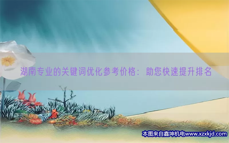 湖南专业的关键词优化参考价格：助您快速提升排名(pic1)