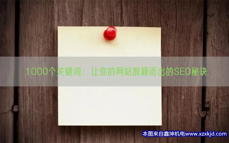 1000个关键词：让你的网站脱颖而出的SEO秘诀(pic1)