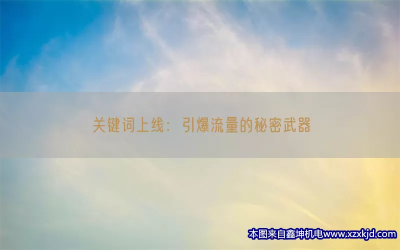 关键词上线：引爆流量的秘密武器(pic1)