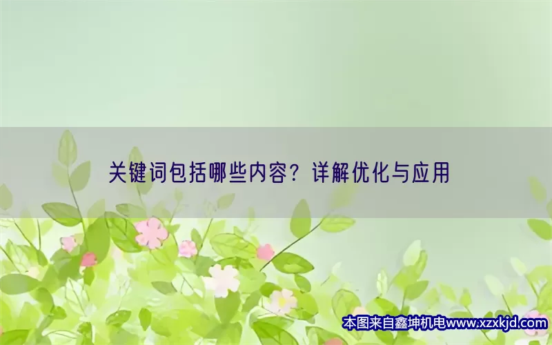 关键词包括哪些内容？详解优化与应用(pic1)