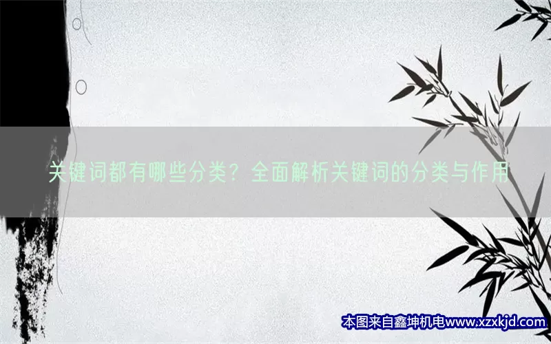 关键词都有哪些分类？全面解析关键词的分类与作用(pic1)