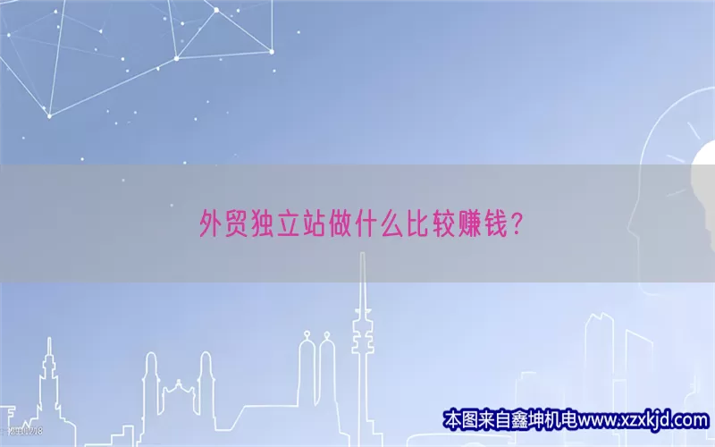 外贸独立站做什么比较赚钱？(pic1)