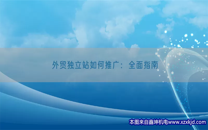 外贸独立站如何推广：全面指南(pic1)