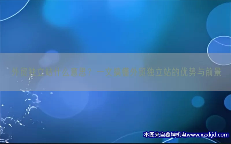 外贸独立站什么意思？一文搞懂外贸独立站的优势与前景(pic1)