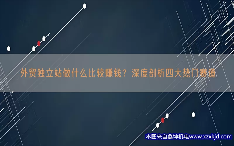 外贸独立站做什么比较赚钱？深度剖析四大热门赛道(pic1)