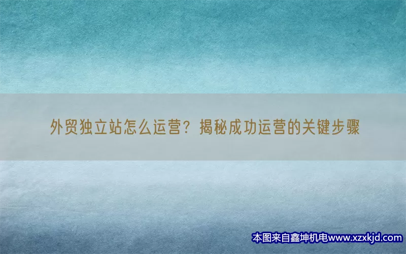 外贸独立站怎么运营？揭秘成功运营的关键步骤(pic1)