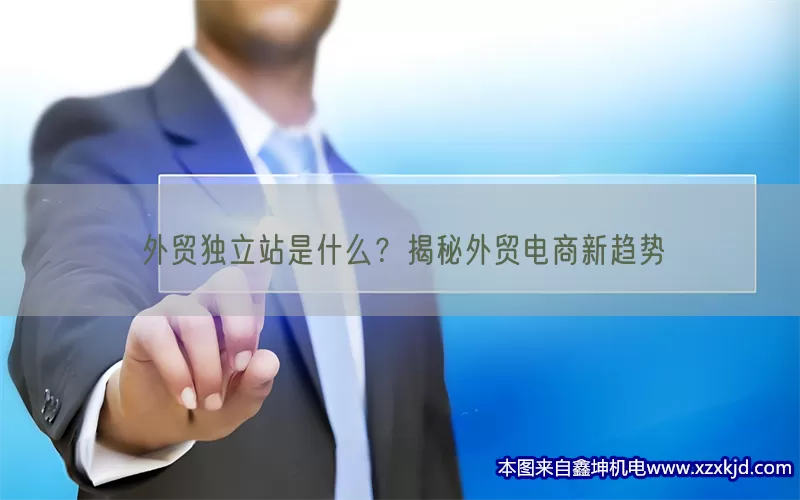 外贸独立站是什么？揭秘外贸电商新趋势(pic1)
