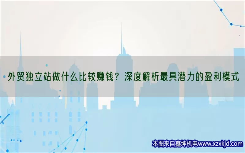 外贸独立站做什么比较赚钱？深度解析最具潜力的盈利模式(pic1)
