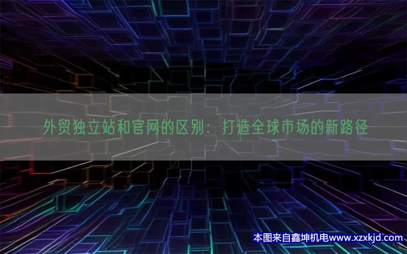 外贸独立站和官网的区别：打造全球市场的新路径(pic1)
