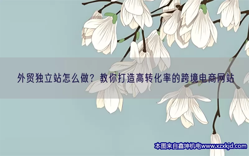 外贸独立站怎么做？教你打造高转化率的跨境电商网站(pic1)