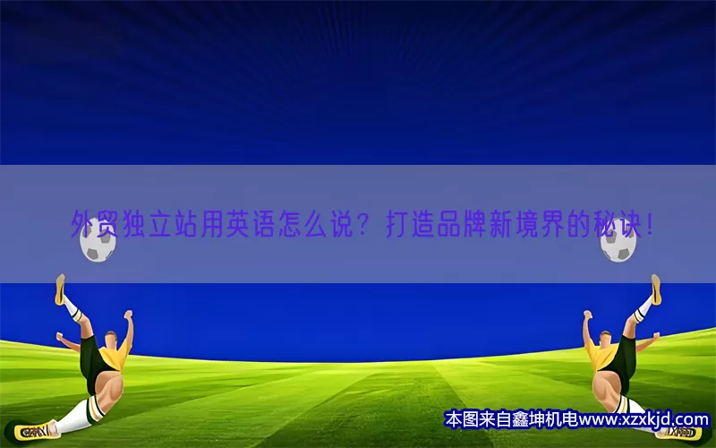 外贸独立站用英语怎么说？打造品牌新境界的秘诀！(pic1)