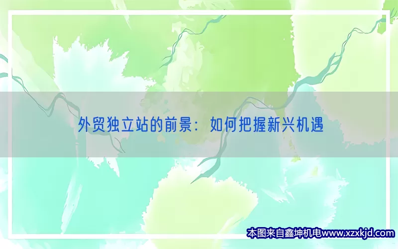 外贸独立站的前景：如何把握新兴机遇(pic1)