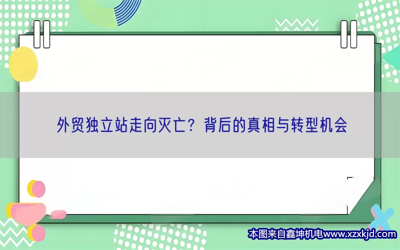 外贸独立站走向灭亡？背后的真相与转型机会(pic1)
