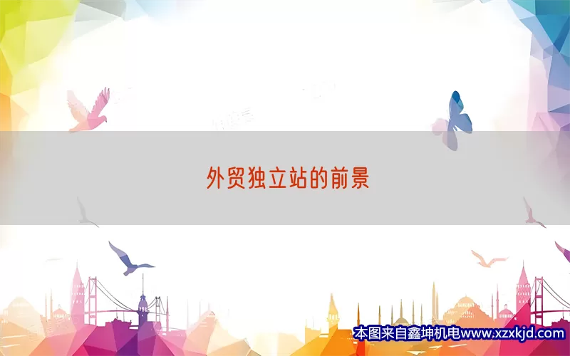 外贸独立站的前景(pic1)