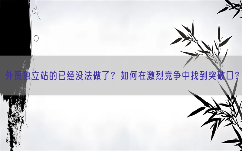 外贸独立站的已经没法做了?如何在激烈竞争中找到突破口?