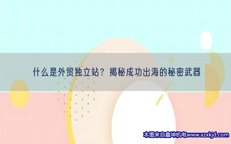 什么是外贸独立站？揭秘成功出海的秘密武器(pic1)