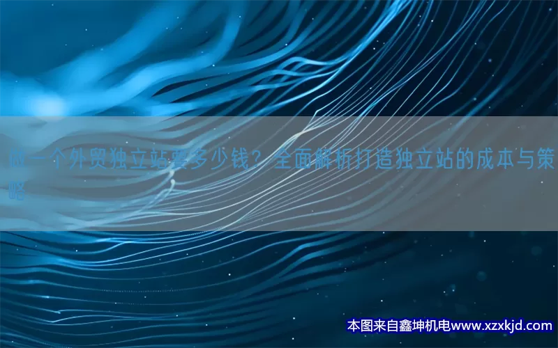 做一个外贸独立站要多少钱？全面解析打造独立站的成本与策略(pic1)