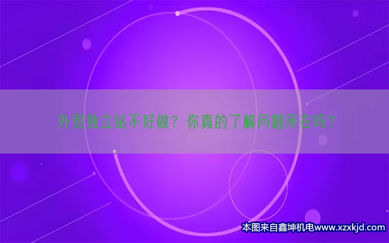 外贸独立站不好做？你真的了解问题所在吗？(pic1)