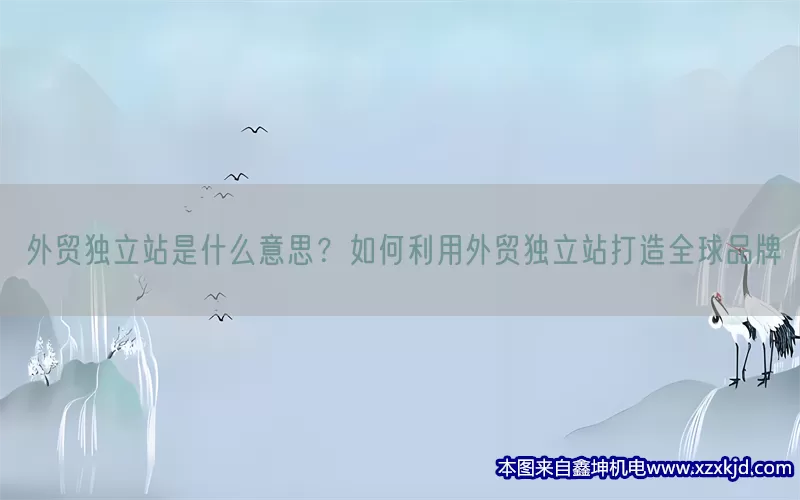 外贸独立站是什么意思？如何利用外贸独立站打造全球品牌(pic1)
