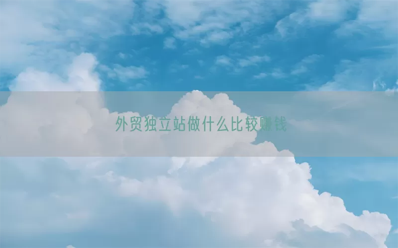 外贸独立站做什么比较赚钱