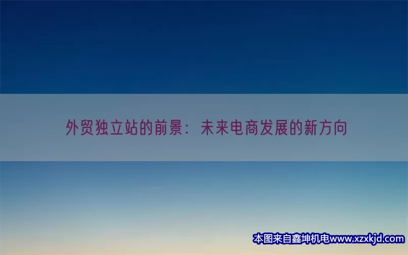 外贸独立站的前景：未来电商发展的新方向(pic1)