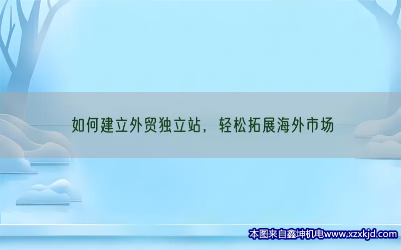 如何建立外贸独立站，轻松拓展海外市场(pic1)