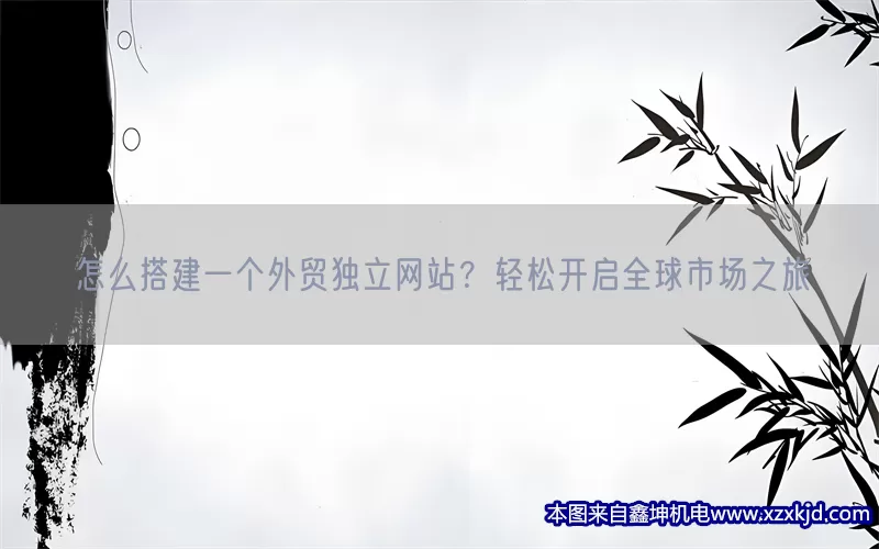 怎么搭建一个外贸独立网站？轻松开启全球市场之旅(pic1)
