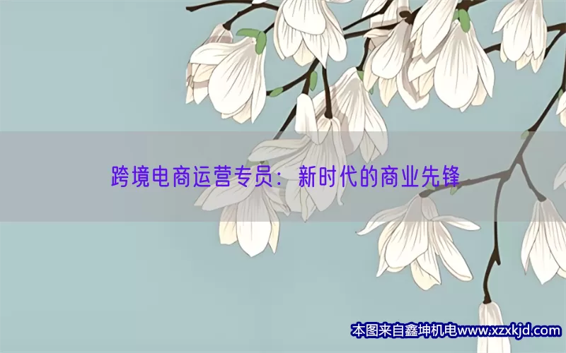 跨境电商运营专员：新时代的商业先锋(pic1)