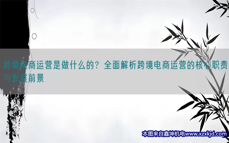 跨境电商运营是做什么的？全面解析跨境电商运营的核心职责与发展前景(pic1)