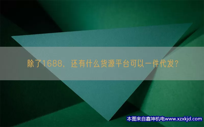 除了1688，还有什么货源平台可以一件代发？(pic1)