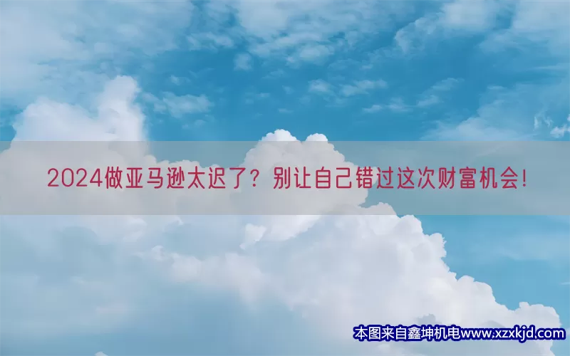 2024做亚马逊太迟了？别让自己错过这次财富机会！(pic1)