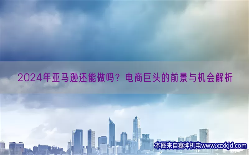 2024年亚马逊还能做吗？电商巨头的前景与机会解析(pic1)