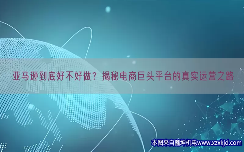 亚马逊到底好不好做？揭秘电商巨头平台的真实运营之路(pic1)