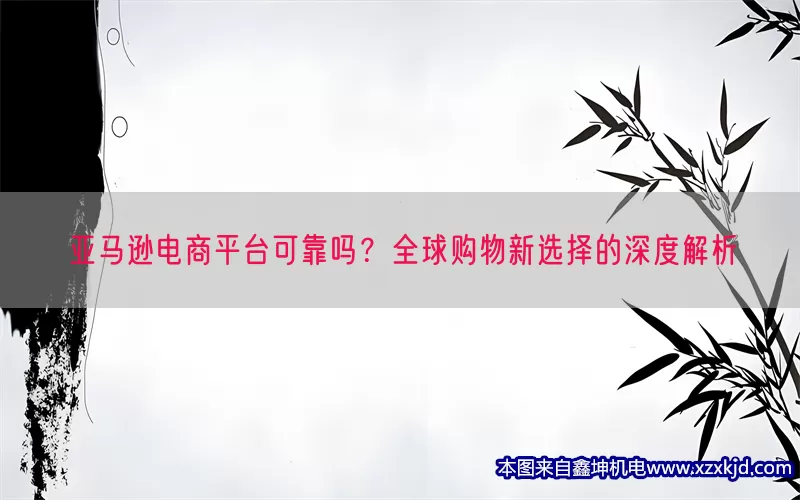 亚马逊电商平台可靠吗？全球购物新选择的深度解析(pic1)