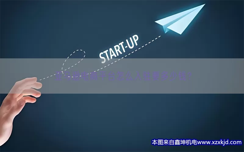 亚马逊电商平台怎么入驻要多少钱？(pic1)