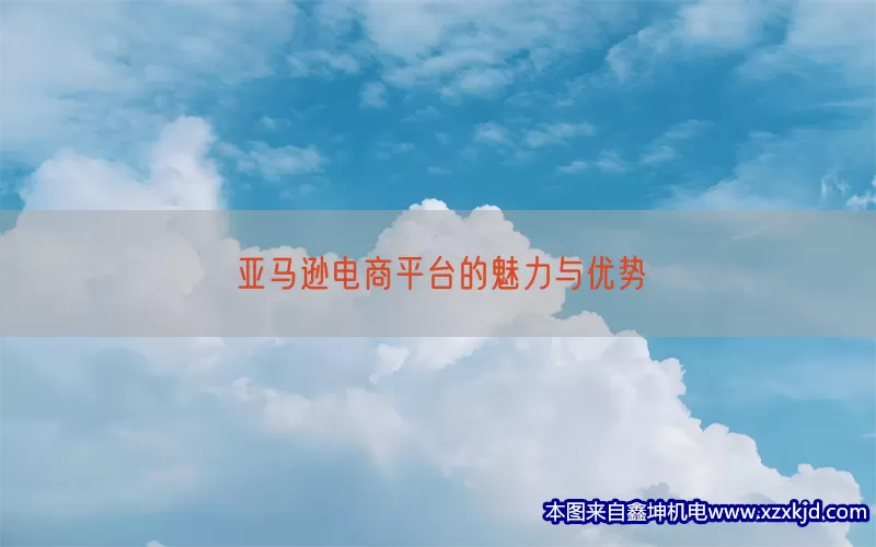 亚马逊电商平台的魅力与优势(pic1)