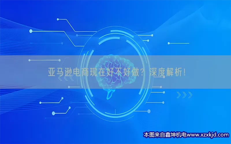 亚马逊电商现在好不好做？深度解析！(pic1)