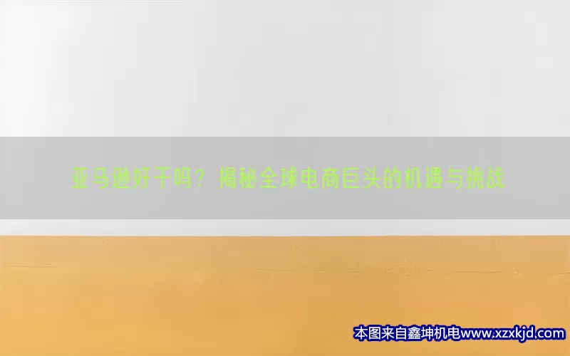 亚马逊好干吗？揭秘全球电商巨头的机遇与挑战(pic1)