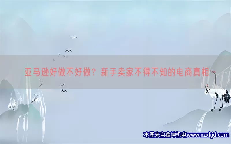 亚马逊好做不好做？新手卖家不得不知的电商真相(pic1)