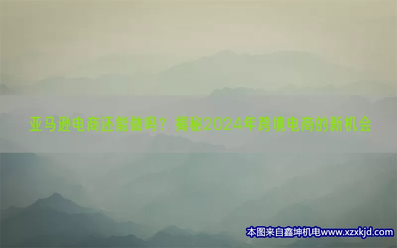 亚马逊电商还能做吗？揭秘2024年跨境电商的新机会(pic1)