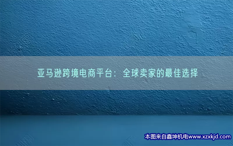 亚马逊跨境电商平台：全球卖家的最佳选择(pic1)