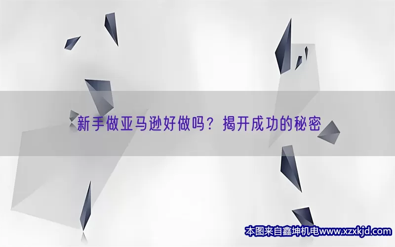新手做亚马逊好做吗？揭开成功的秘密(pic1)