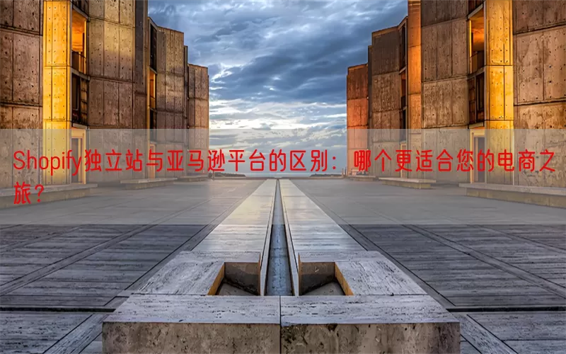 Shopify独立站与亚马逊平台的区别：哪个更适合您的电商之旅？