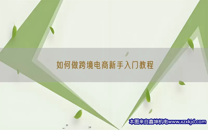 如何做跨境电商新手入门教程(pic1)