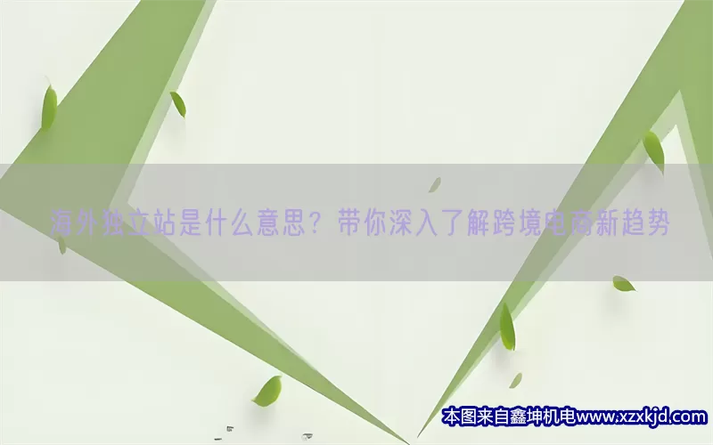 海外独立站是什么意思？带你深入了解跨境电商新趋势(pic1)