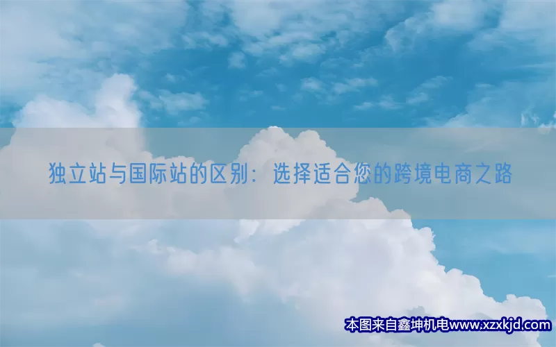 独立站与国际站的区别：选择适合您的跨境电商之路(pic1)
