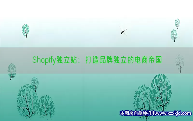 Shopify独立站：打造品牌独立的电商帝国(pic1)