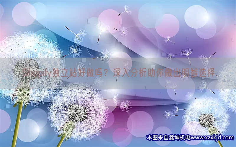 Shopify独立站好做吗？深入分析助你做出明智选择(pic1)