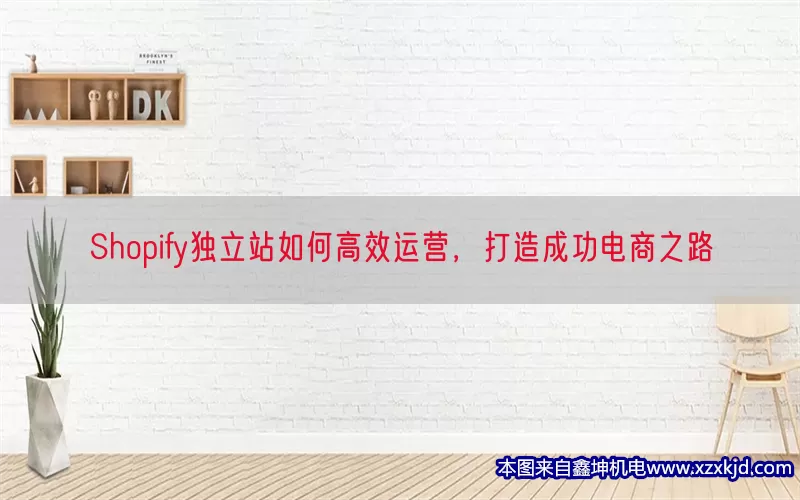 Shopify独立站如何高效运营，打造成功电商之路(pic1)