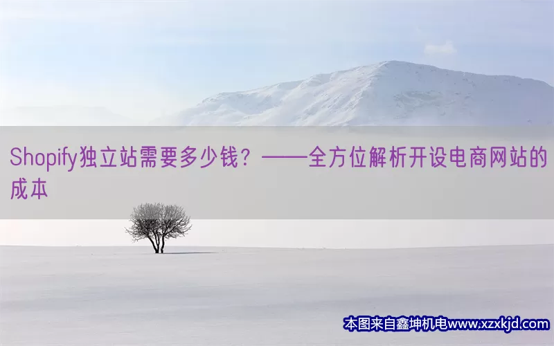 Shopify独立站需要多少钱？——全方位解析开设电商网站的成本(pic1)